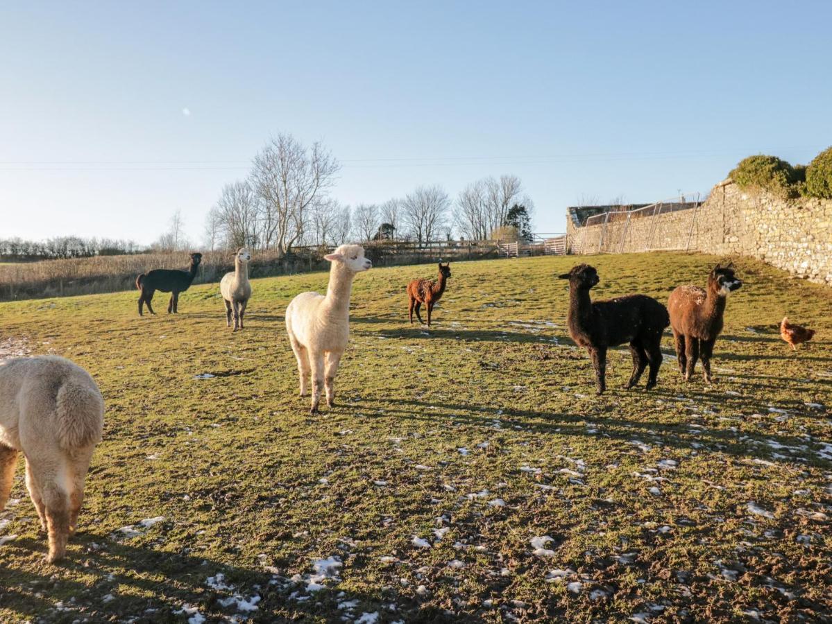 Granary Lägenhet Ulverston Exteriör bild